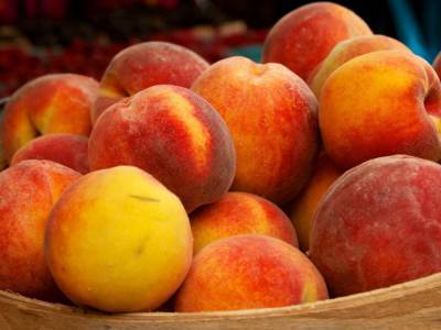 Владимир Никифоров - Ученые выяснили, что употребление персиков может привести к серьезной болезни - golos.ua - США - Канада