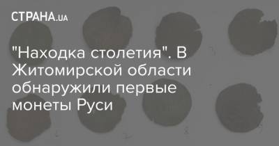 "Находка столетия". В Житомирской области обнаружили первые монеты Руси - strana.ua - Украина - Русь - Житомирская обл. - Находка