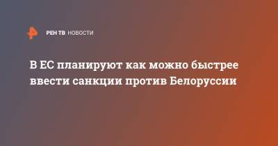 Жозеп Боррель - В ЕС планируют как можно быстрее ввести санкции против Белоруссии - ren.tv - Белоруссия