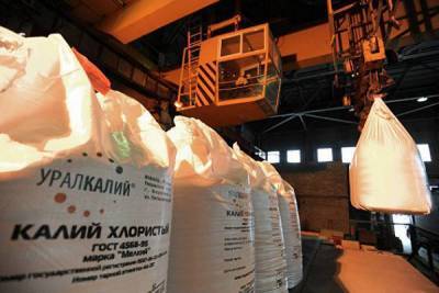 «Уралкалий» в I полугодии снизил производство хлоркалия до 5,2 млн тонн - smartmoney.one - Москва
