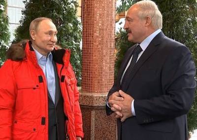 Владимир Путин - Александр Григорьевич Лукашенко - Путин заявил, что признает легитимность выборов президента в Белоруссии - znak.com - Россия - Белоруссия