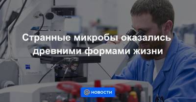 Странные микробы оказались древними формами жизни - news.mail.ru - county Frontier
