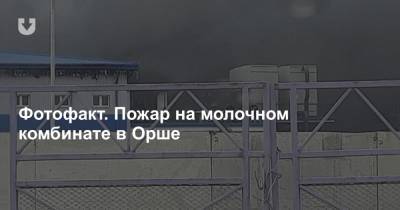 Фотофакт. Пожар на молочном комбинате в Орше - news.tut.by - Орша