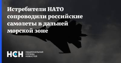 Николай Евменов - Истребители НАТО сопроводили российские самолеты в дальней морской зоне - nsn.fm - Россия