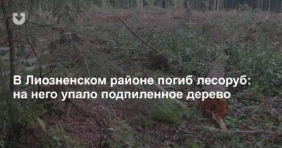В Лиозненском районе погиб лесоруб: на него упало подпиленное дерево - news.tut.by