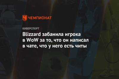 Blizzard забанила игрока в WoW за то, что он написал в чате, что у него есть читы - championat.com