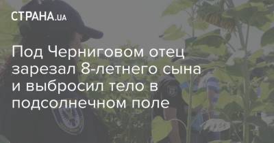Под Черниговом отец зарезал 8-летнего сына и выбросил тело в подсолнечном поле - strana.ua - Черниговская обл.