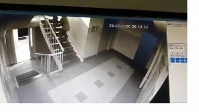 В Омске задержали педофила, который напал на 6-летнюю девочку в подъезде многоэтажки - piter.tv - Россия - Омск - Омская обл.