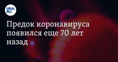 Предок коронавируса появился еще 70 лет назад - ura.news - Китай - Царьград - Ухань