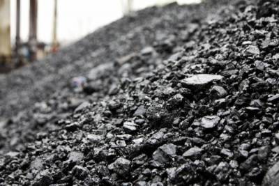 Курганские власти централизованно закупят уголь для всех котельных региона - interfax-russia.ru - Курганская обл.