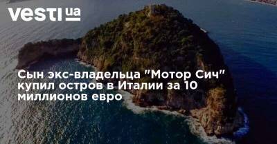 Вячеслав Богуслаев - Сын экс-владельца "Мотор Сич" купил остров в Италии за 10 миллионов евро - vesti.ua - Украина - Италия
