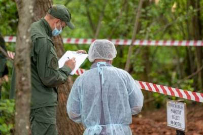 На территории концлагеря в Псковской области нашли останки более 50 человек - aif.ru - Псковская обл.