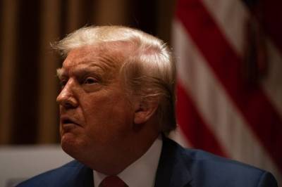 Дональд Трамп - Трамп подаст в суд на власти Невады за рассылку избирательных бюллетеней - aif.ru - США - шт. Невада