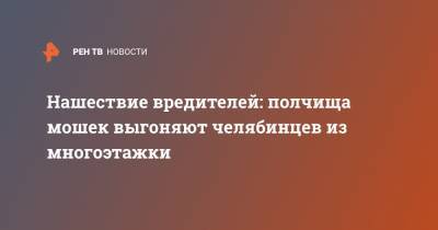 Нашествие вредителей: полчища мошек выгоняют челябинцев из многоэтажки - ren.tv - Челябинск - Дома