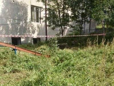 СК Армении выяснил, кто устроил взрыв у здания полиции в Берде - news.am - Армения