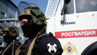 На Северном Кавказе нейтрализовали восемь террористов с начала года - russian.rt.com - Санкт-Петербург