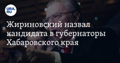 Сергей Фургал - Владимир Жириновский - Михаил Дегтярев - Жириновский назвал кандидата в губернаторы Хабаровского края - ura.news - Россия - Хабаровский край