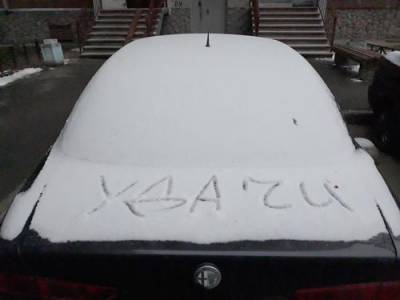 Российский союз автостраховщиков опроверг утечку данных автовладельцев из баз - argumenti.ru - Россия