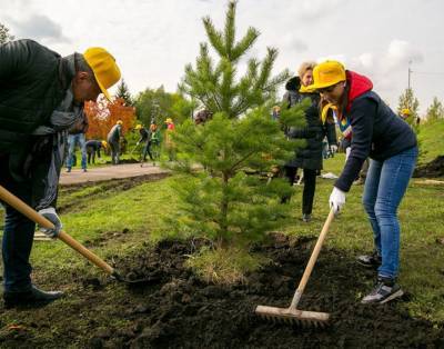 В Ленобласти осенью этого года восстановят леса на площади 10 тыс. га - karpovka.com - Ленинградская обл.