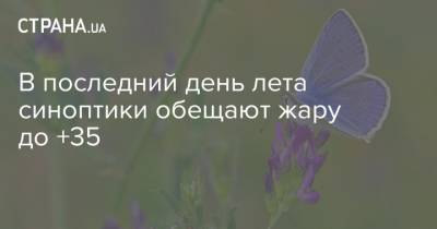 Наталья Диденко - В последний день лета синоптики обещают жару до +35 - strana.ua - Украина