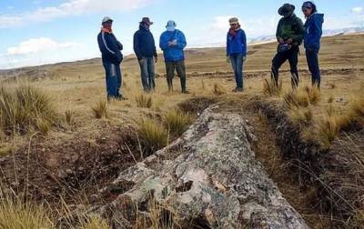 В Перу найдено дерево возрастом 10 млн лет - korrespondent.net - Находка