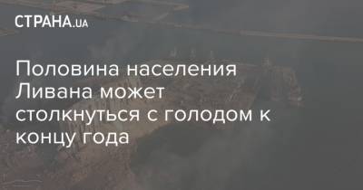 Половина населения Ливана может столкнуться с голодом к концу года - strana.ua - Ливан - Бейрут - Бейрут