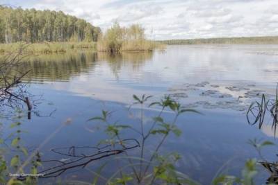 В Ивановской области планируют разводить редкие виды промысловых рыб - mkivanovo.ru - Ивановская обл.