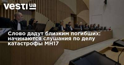 Слово дадут близким погибших: начинаются слушания по делу катастрофы MH17 - vesti.ua