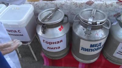 В Уфе в выходные прошли медовые ярмарки - bash.news - Уфа