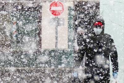 Екатерина Пестрякова - Климатолог предупредила россиян о сильных морозах зимой - govoritmoskva.ru - Москва
