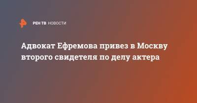 Михаил Ефремов - Елена Абрамова - Андрей Гаев - Эльман Пашаев - Адвокат Ефремова привез в Москву второго свидетеля по делу актера - ren.tv - Москва - Анапа