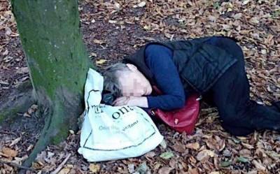 Нашли под деревом: беда случилась с женщиной в киевском парке, фото - kiev.politeka.net - Киев
