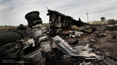 Николай Топорнин - Нидерландский суд приступил к новой стадии слушаний по делу крушения MH17 - polit.info - Россия - Украина - ДНР - Голландия