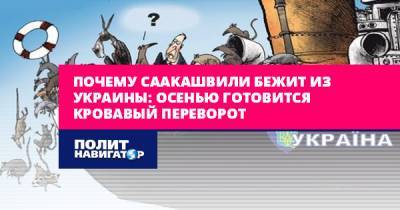 Петр Порошенко - Михаил Саакашвили - Ренат Кузьмин - Почему Саакашвили бежит из Украины: Осенью готовится кровавый... - politnavigator.net - Украина - Грузия