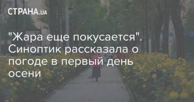 Наталья Диденко - "Жара еще покусается". Синоптик рассказала о погоде в первый день осени - strana.ua - Киев