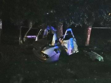 В Башкирии погибли пассажиры машины, влетевшей в дерево - ufacitynews.ru - Башкирия - район Кигинский