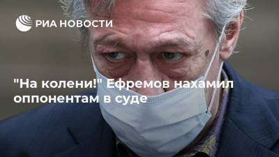 Михаил Ефремов - Александр Добровинский - Эльман Пашаев - "На колени!" Ефремов нахамил оппонентам в суде - ria.ru - Москва - Россия