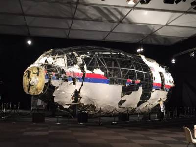 Хендрик Стинхейс - Следствие по делу о крушении MH17 начинает «захлебываться» — Юрист - news-front.info - Голландия