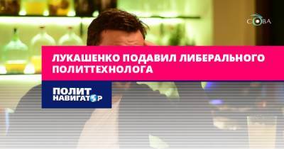 Виталий Шкляров - Антон Гашинский - Лукашенко подавил либерального политтехнолога - politnavigator.net - Белоруссия - Минск - район Партизанский, Минск