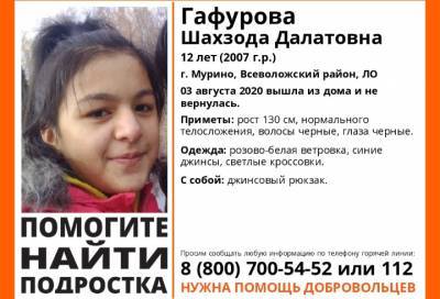 Вышла из дома и не вернулась: в Мурино пропала 12-летняя девочка - online47.ru