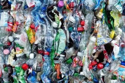 В Бурятии «ЭкоАльянс» заставили собирать мусор в Баргузинском районе - ulan.mk.ru - респ.Бурятия - район Баргузинский