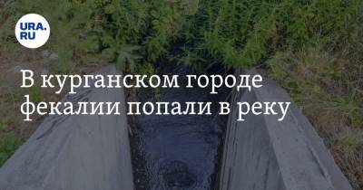 В курганском городе фекалии попали в реку - ura.news - Курганская обл. - Шадринск