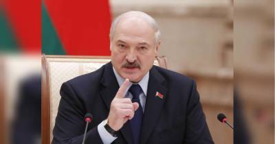 Александр Лукашенко - Андрей Пионтковский - Лукашенко предложил изменить на референдуме конституцию Беларуси - fakty.ua - Белоруссия