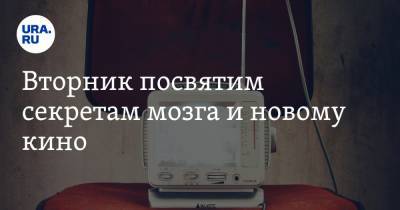 Вторник посвятим секретам мозга и новому кино - ura.news