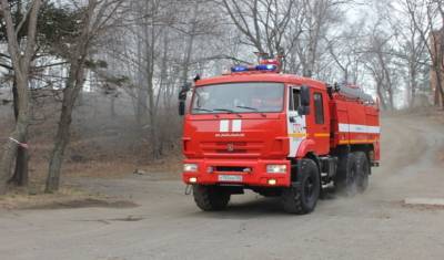 За прошедшие сутки в Тюменской области возникло 5 лесных пожаров - nashgorod.ru - Тюменская обл. - с. Всего