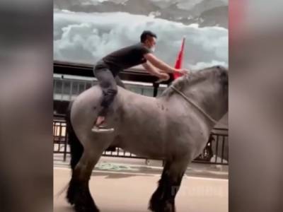 Илья Муромец - Гигантский конь попал на видео и покорил Сеть - golos.ua - Украина