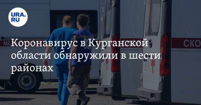 Коронавирус в Курганской области обнаружили в шести районах - ura.news - Курганская обл. - Курган - Шадринск