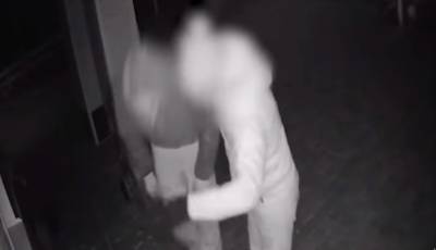 Под Днепром вооруженная банда атаковала фермеров, кадры: "Травили собак и..." - dnepr.politeka.net - Украина - Днепр