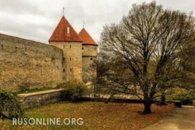 Владимир Оленченко - Эстония выступает за снятие санкций против России - rusonline.org - Россия - Эстония - Пекин - Тегеран