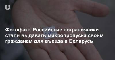 Фотофакт. Российские пограничники стали выдавать микропропуска своим гражданам для въезда в Беларусь - news.tut.by - Белоруссия